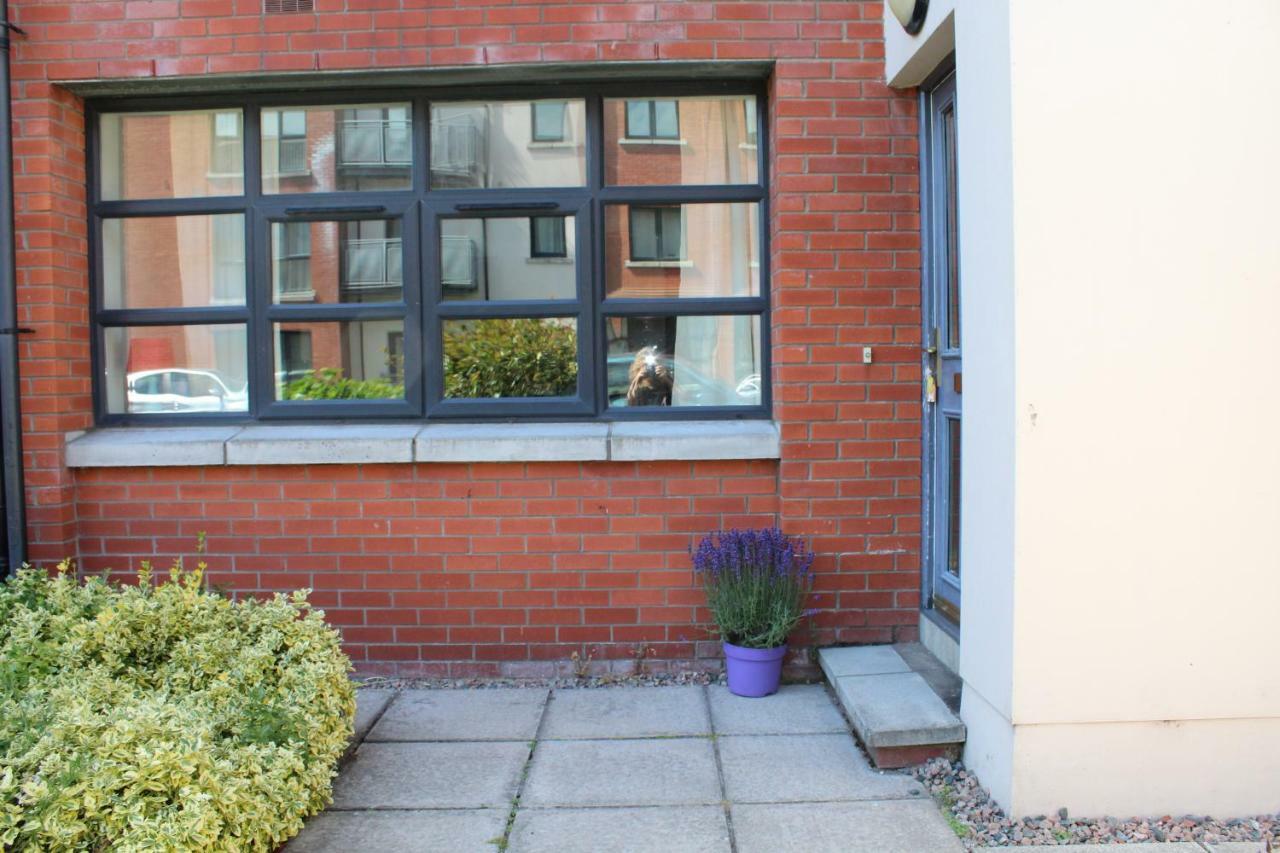 Park Apartments At Obc Belfast Buitenkant foto